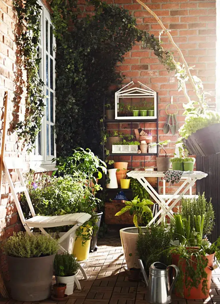 créer un jardin petit espace astuces pour végétaliser balcon plantes pots lierre