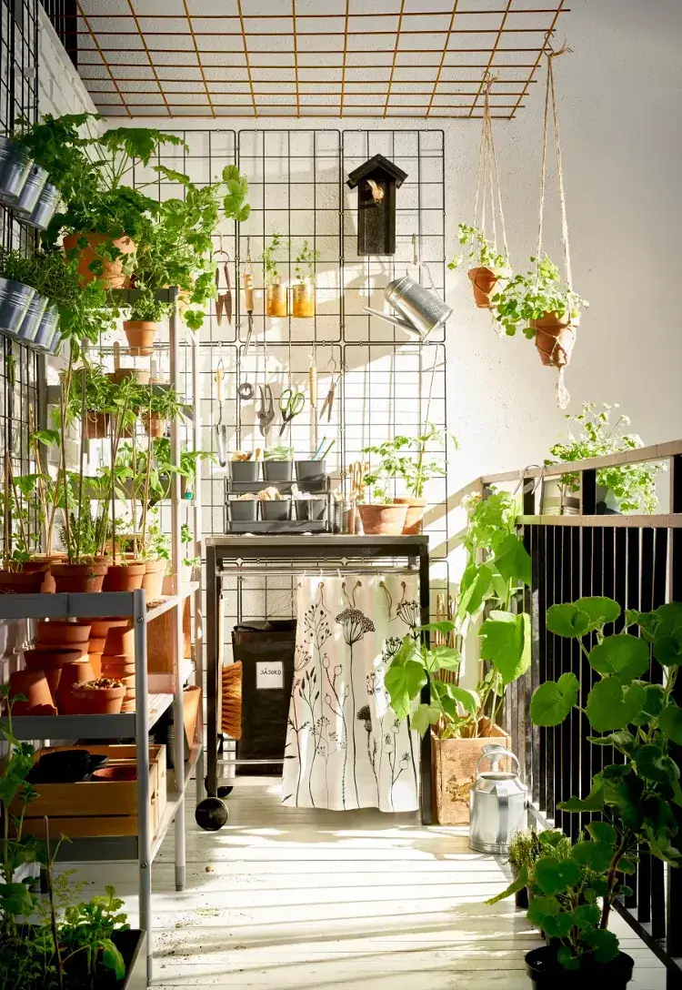 créer un jardin potager petit espace astuces pour végétaliser balcon plantes pots