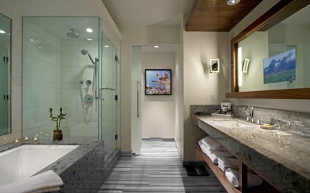 déco salle de bain en longueur avec baignoire