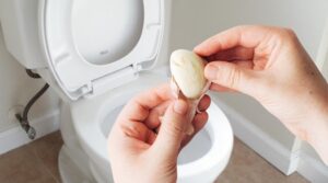 désinfectant toilette maison pourquoi jeter une gousse d’ail dans la cuvette