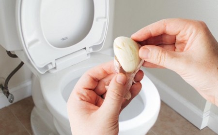 désinfectant toilette maison pourquoi jeter une gousse d’ail dans la cuvette