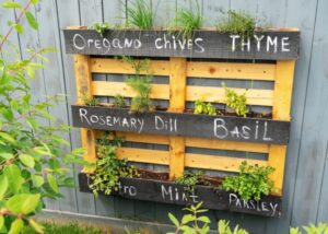 diy mur vegetal avec palette bois