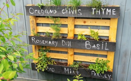 diy mur vegetal avec palette bois