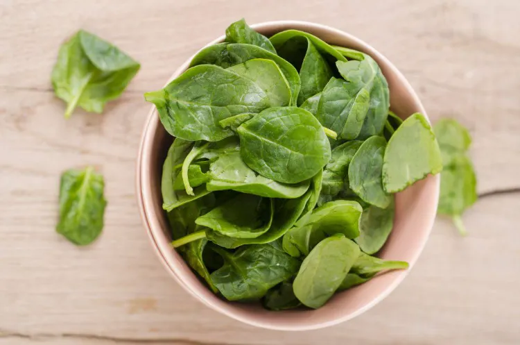 Vegetables with spinach negative calories 2022