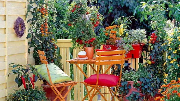 faire pousser des fruits et légumes sur le balcon 2022