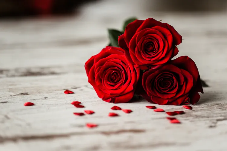 offrir des fleurs pour la Saint Valentin 2022