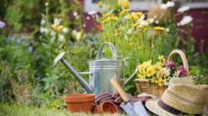 outils astuces aménagement extérieur jardin terrasse potager étapes incontournables