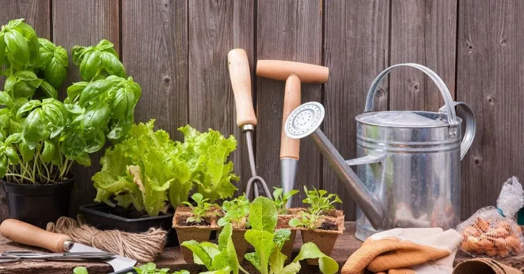 outils pour jardiner en ville