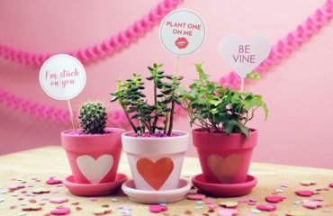 plantes en pot à offrir pour la Saint Valentin idées