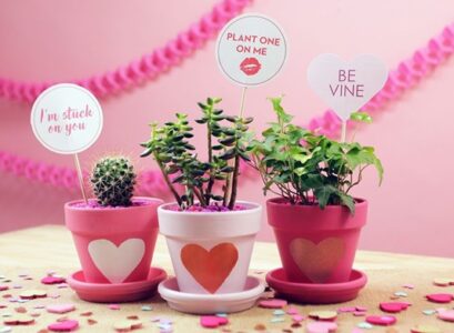 plantes en pot à offrir pour la Saint Valentin idées