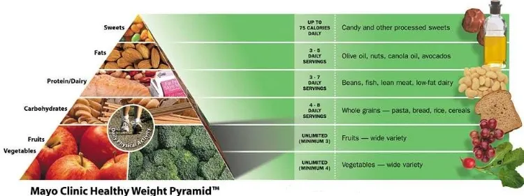 pyramide aliments régime mayo perte poids long terme experts que manger