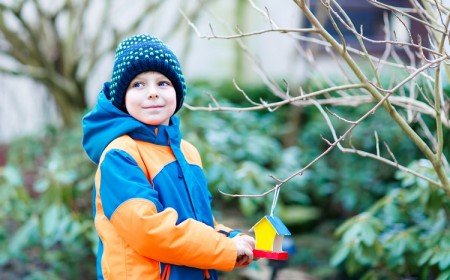 que faire au jardin en février