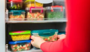 quels sont les aliments ne pas congeler quels produits se gate freezer