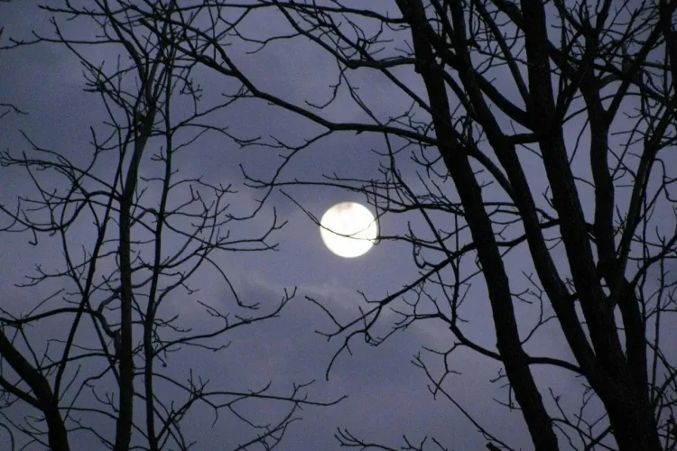 semer et jardiner avec la lune anciens utiliser pleine lune effet simple lumière