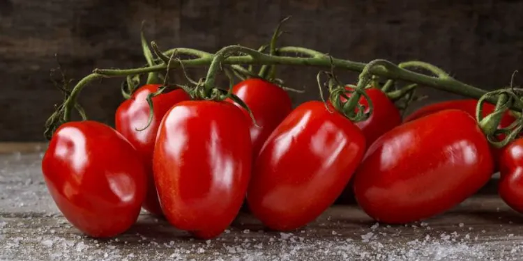 tomates légumes très peu caloriques 2022