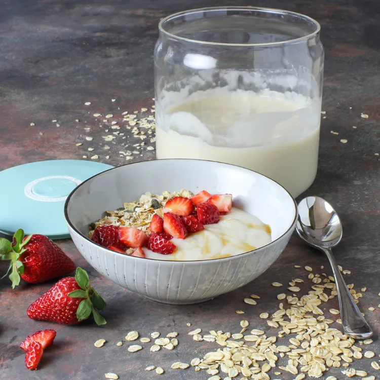 yaourt bulgare probiotique aliment laxatif naturel favorise santé intestinale perte poids