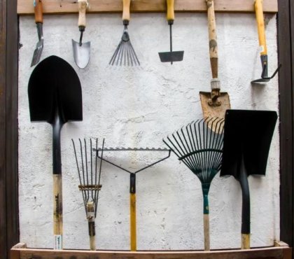 10 outils indispensables pour tailler les arbres et plantes