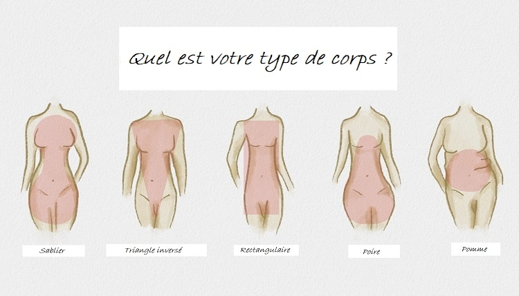 Types de corps morphologie