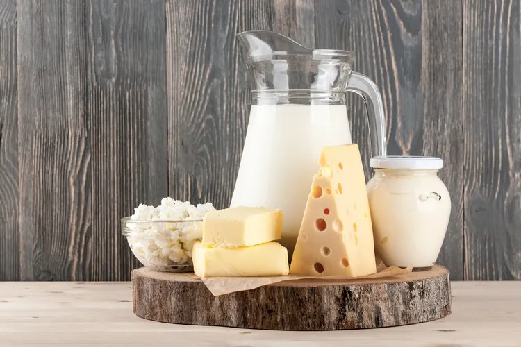 alimentos que contienen yodo productos lácteos