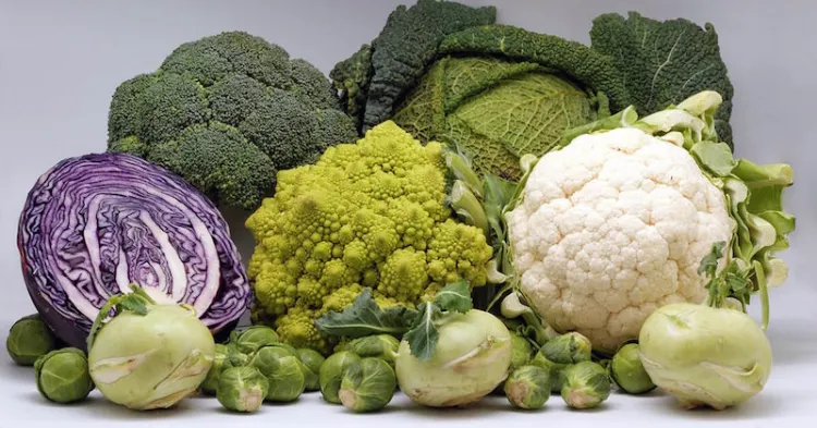 aliments sains manger tous les jours sans modération chou légumes crucifères
