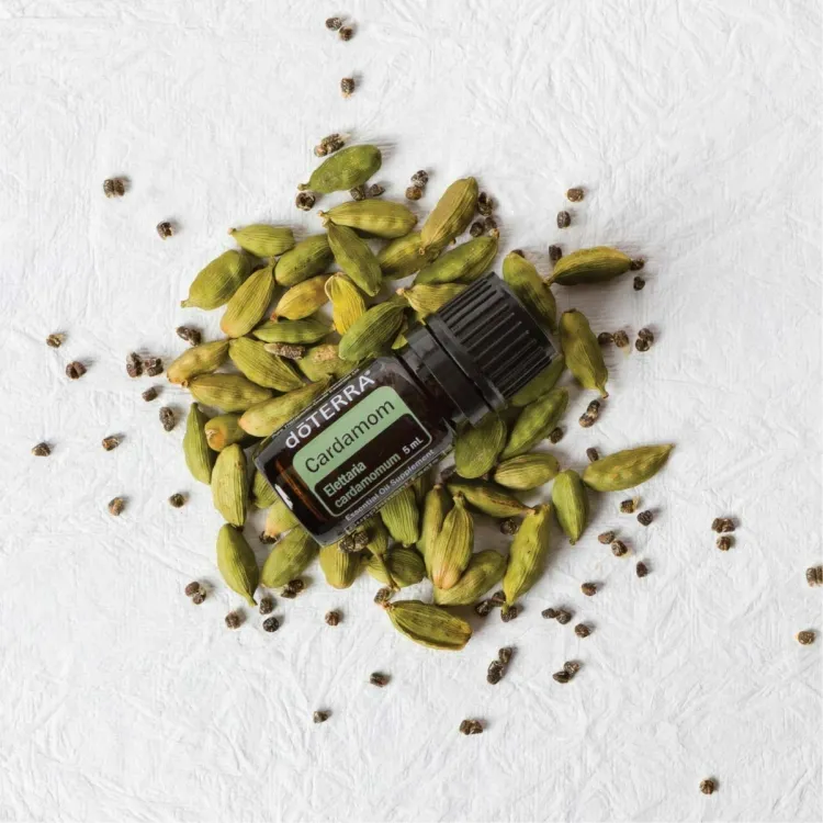 associer huiles essentielles pour bonne digestion cardamome gingembre citron vert inhaler