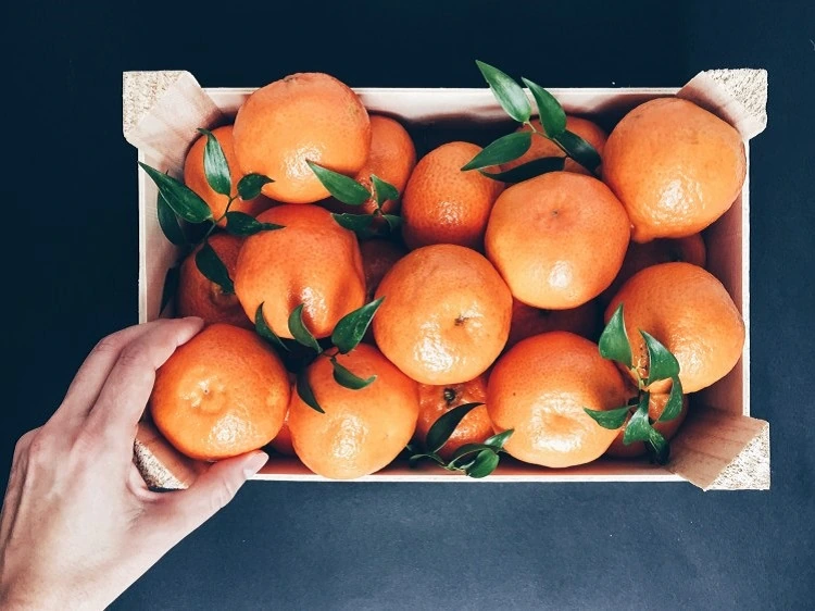 bien conserver les oranges
