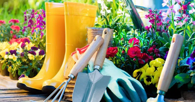 bien nettoyer outils de jardinage pour tailler les plantes et les arbustes