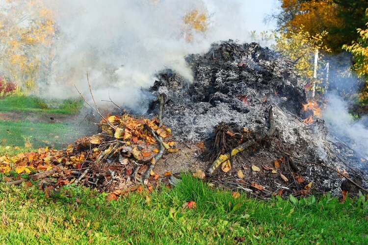 Puis-je brûler des déchets verts dans mon jardin ? - M6