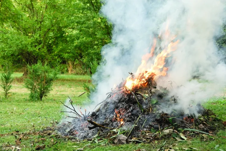 brûler les déchets verts infraction vertu code protection environnement