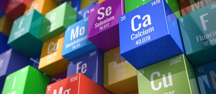 causes métabolisme lent prise de poids quelles facteurs carences calcium magnesium
