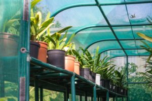 choisir une bâche pour serre de jardin tendance 2022