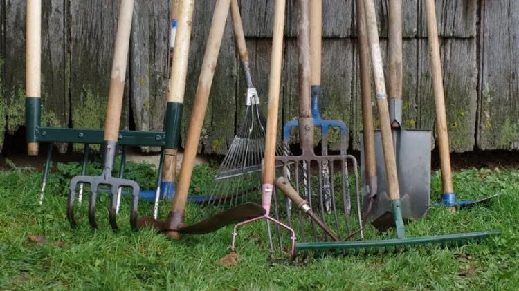 comment bien entretenir ses outils de jardin 2022