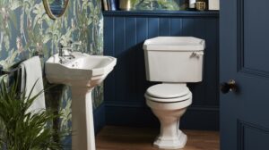 comment bien nettoyer et laver la brosse des wc toilettes naturel