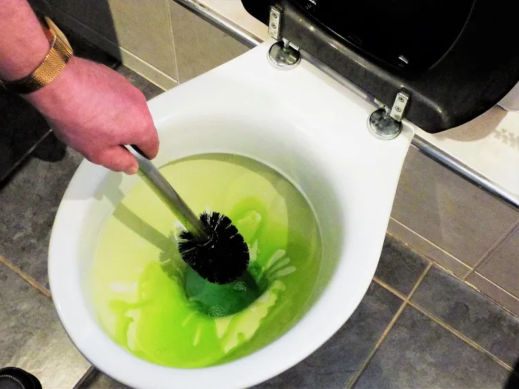 comment bien nettoyer la brosse des wc eau de javel liquide vaisselle