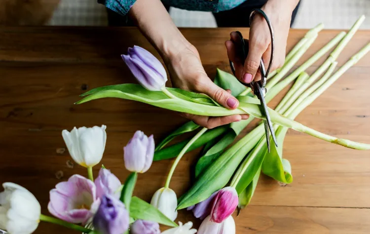 comment couper tiges tulipes faire composition florale originale bouquet impeccable