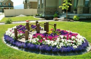 comment créer un parterre de fleurs sans entretien