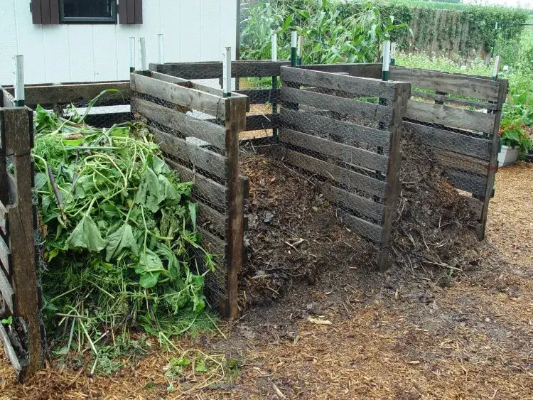 crottin de cheval engrais jardin laisser mûrir utilisation jardin