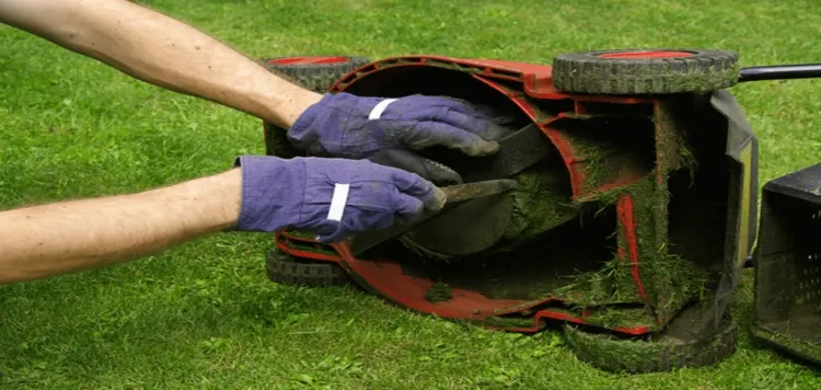 entretien de pelouse au printemps inspecter tondeuse constater pièces endommagées remédier