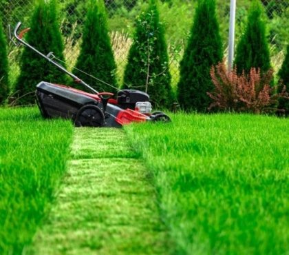 entretien pelouse printemps adopter quelques règles pratiques simples suivre