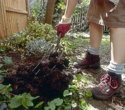 fumier de cheval au jardin naturel logique moins coûteux potager verger plantes ornement