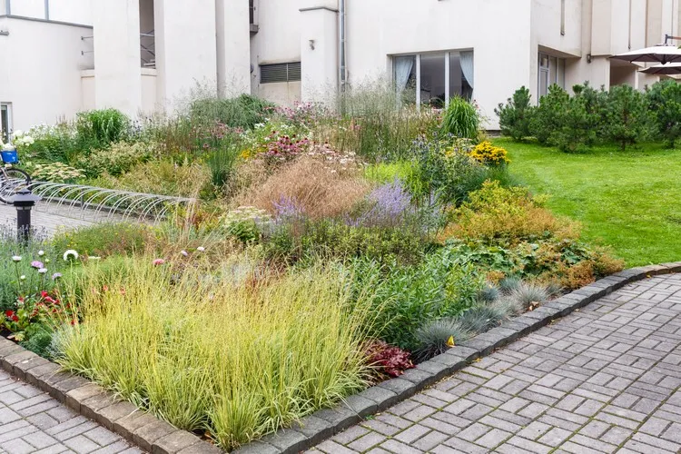 idee jardin sans entretien choisir de plantes vivaces aménager jardin moderne