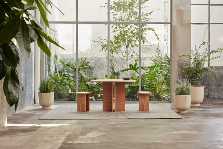 intérieur moderne avec des plantes vertes et de la lumière naturelle