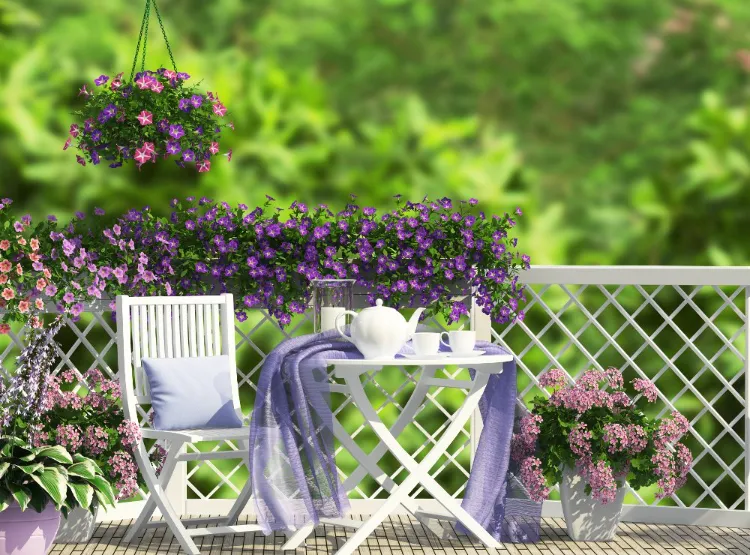 jardinière lilas tendance balcon 2022