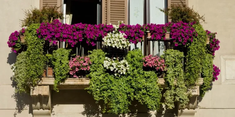 lilas en pot sur balcon tendance printemps 2022