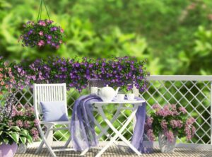 lilas en pot sur le balcon tendance 2022