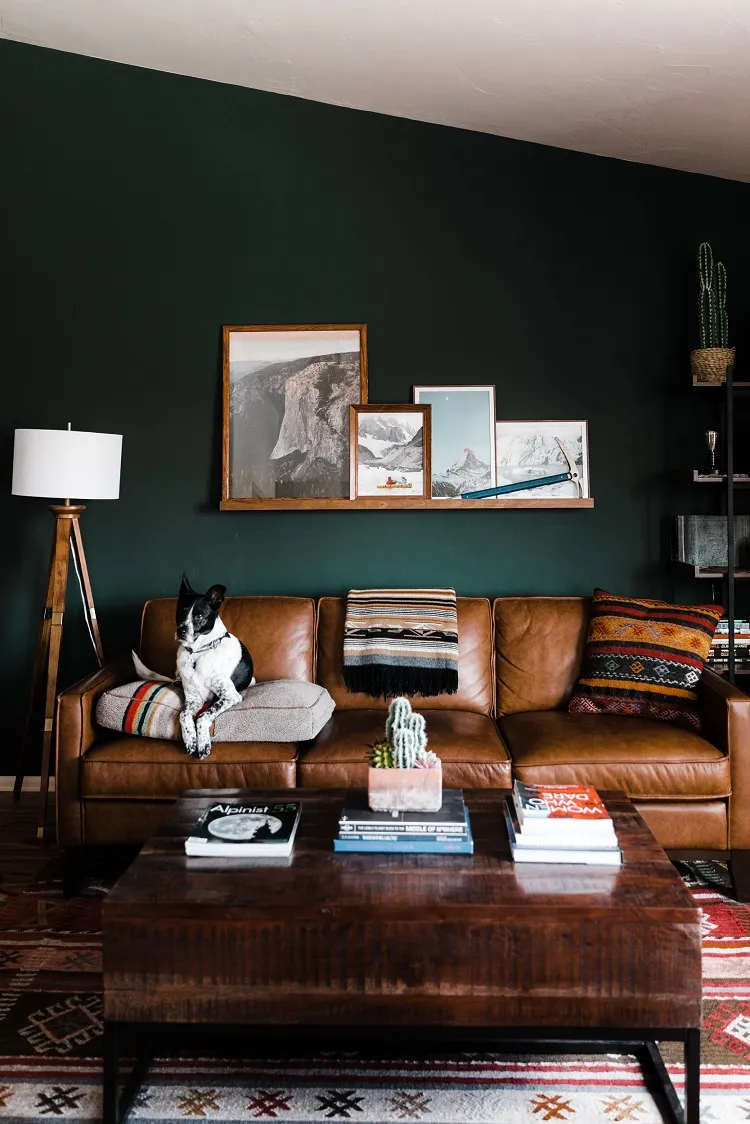 mur en vert pin en combinaison avec un canapé brun et table basse en bois