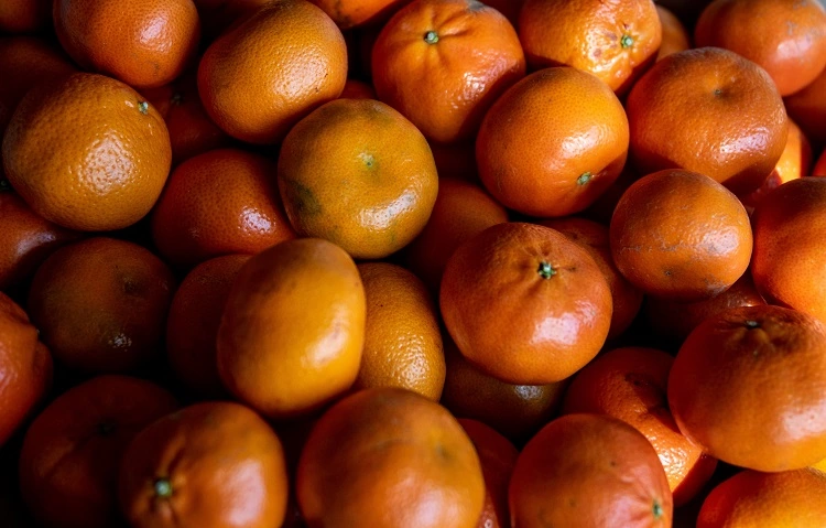 oranges bienfaits calories