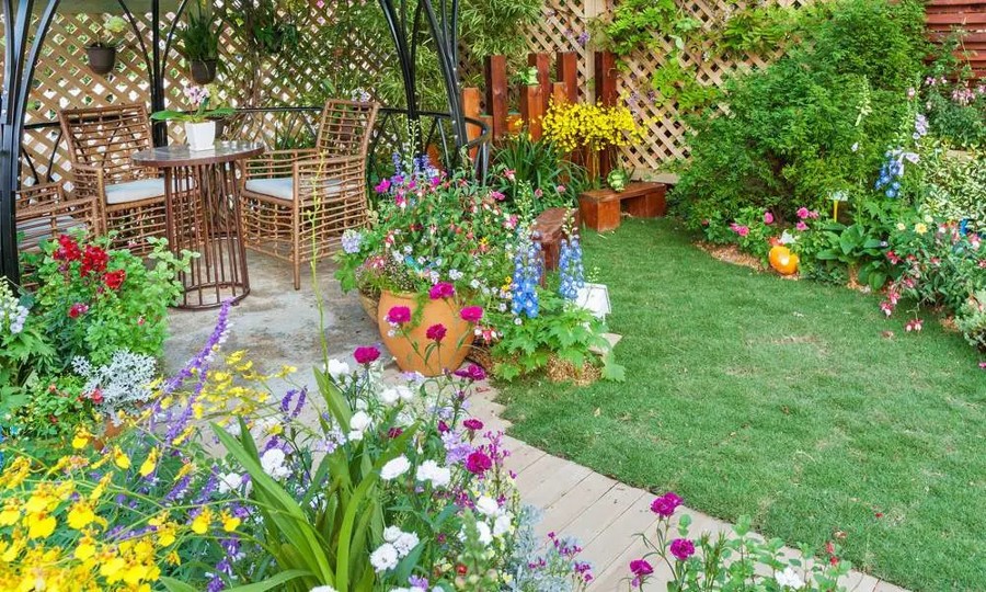 plante anti insecte