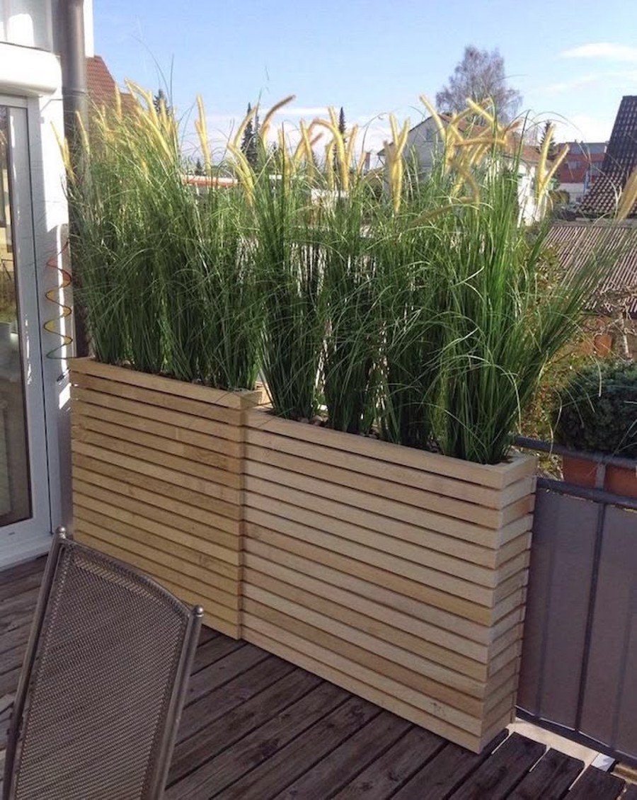 plante brise vue balcon