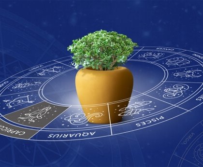plantes et astrologie comment expliquer changement humeur pièce
